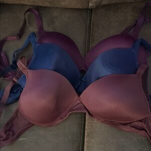 Warner's Purple and Blue Bras